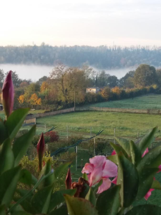 Le Vigne Sull'Adda Panzió Bottanuco Kültér fotó