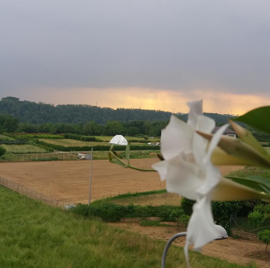 Le Vigne Sull'Adda Panzió Bottanuco Kültér fotó